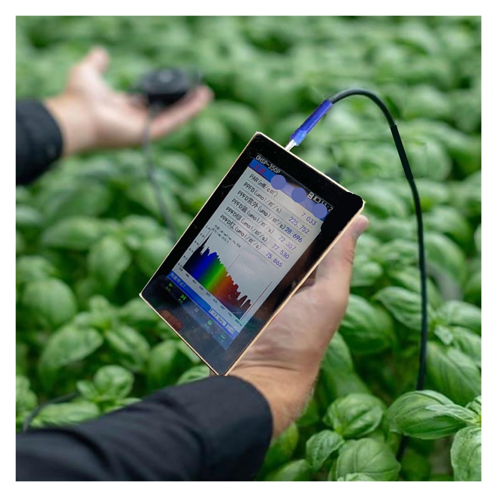 Mthckxjbsuz One Color Spectrometer Portable, Ppfd Meter Spectrometer Par Sensor Ohsp350p For Agriculture Use
