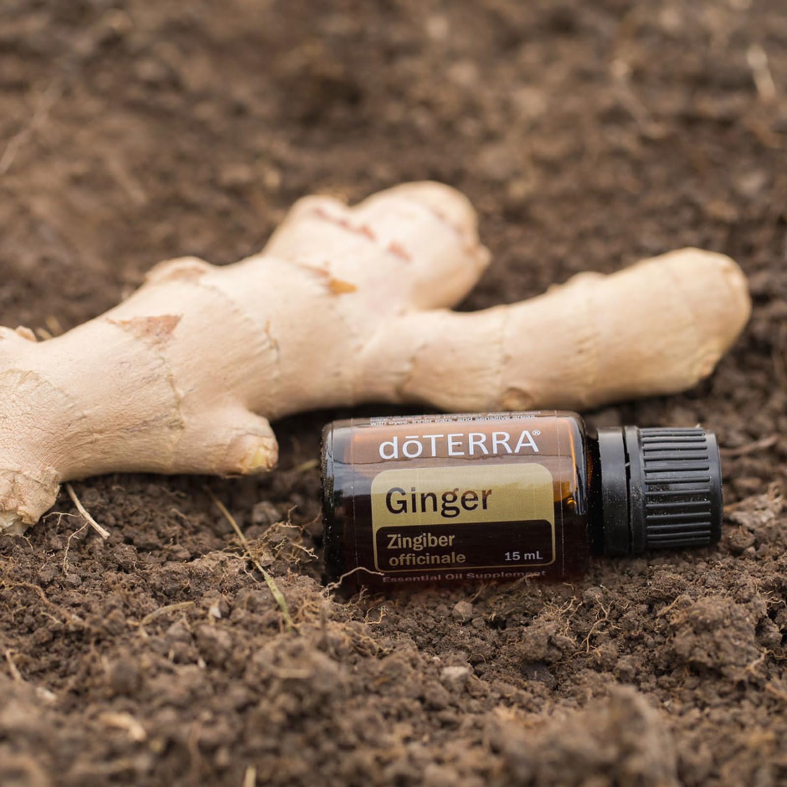 Amazon.com: doTERRA - Ginger Essential Oil - 15 mL : Health