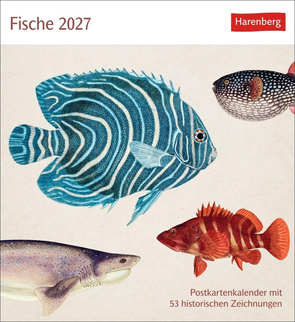 Fische Postkartenkalender 2027 - Postkartenkalender mit 53 historischen Zeichnungen: Kalender mit Retro-Illustrationen. Schönes Geschenk für Kunst- und Naturliebhaber. 16 x 17,5 cm