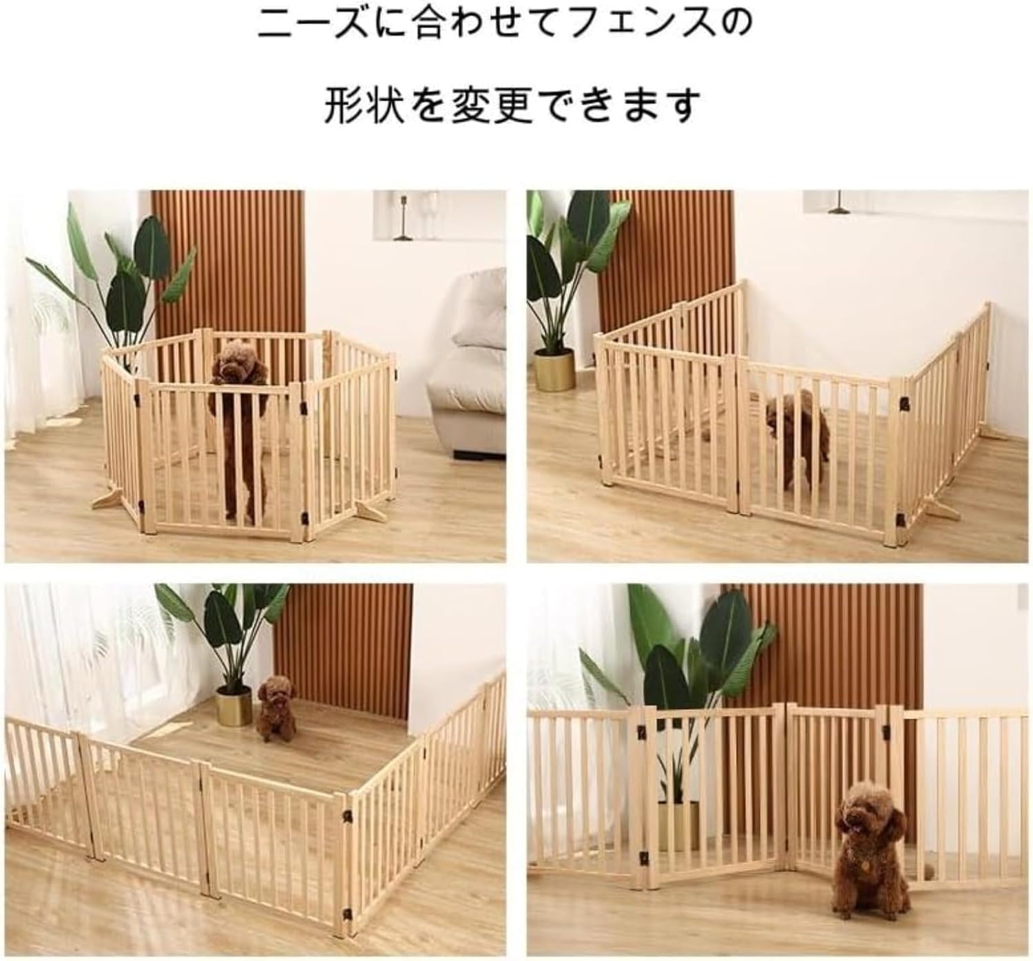 サッカー日本代表　DVD7枚＋特集誌＋Tシャツ　ジーコジャパン SPY×FAMILY Tシャツ サッカー日本代表ver.（紺・M～XL）