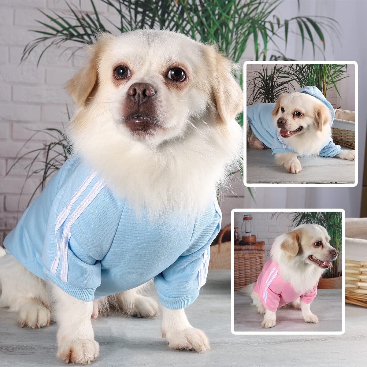 Puppy & Dog Winter Apparel - Cotton Fleece Sweatshirt Hoodies for Small Medium & Large Dogs & Cats, light blue, XX-Large - Image 3