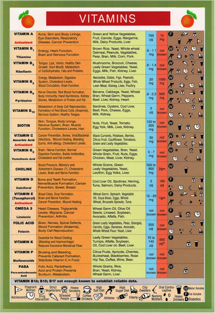 Natures Energies Vitamins and Minerals Reference Guide Mini Chart Poster 9 x 6