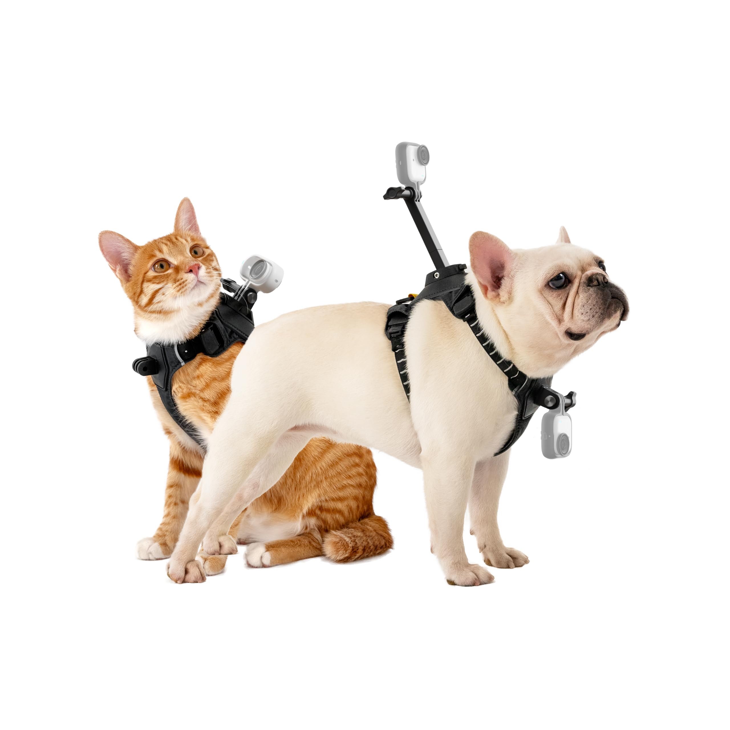 Insta360 GO 3/GO 3S - Soporte de arnés para mascotas, talla M (GO Ultra)