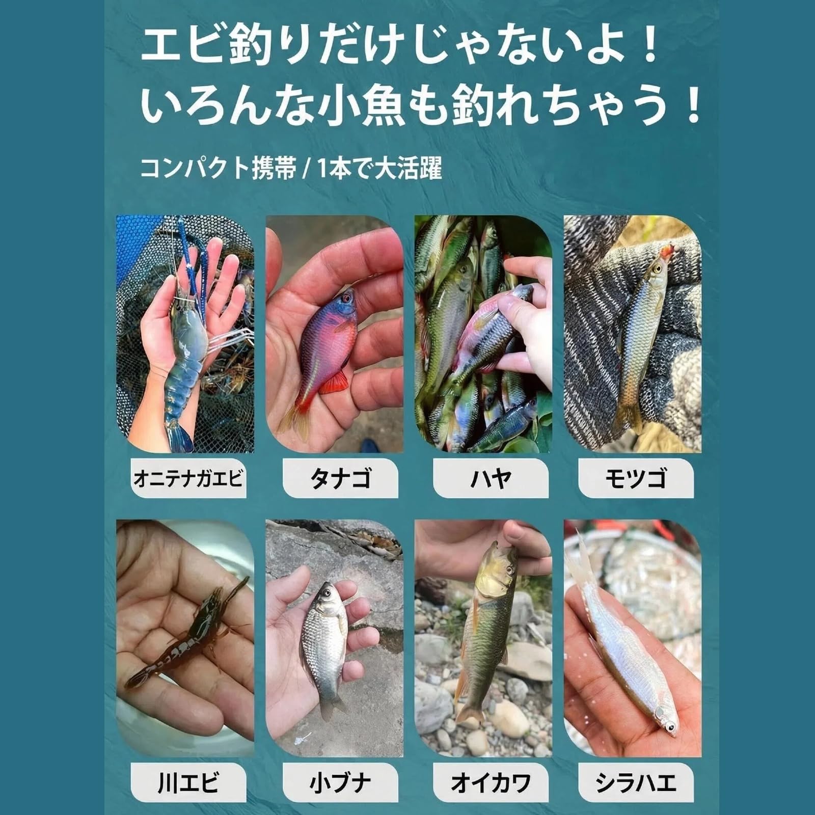 Amazon | 秀作 渓流竿 2.71m 短節 カーボン 24.5cm収納 軽量 携帯便利