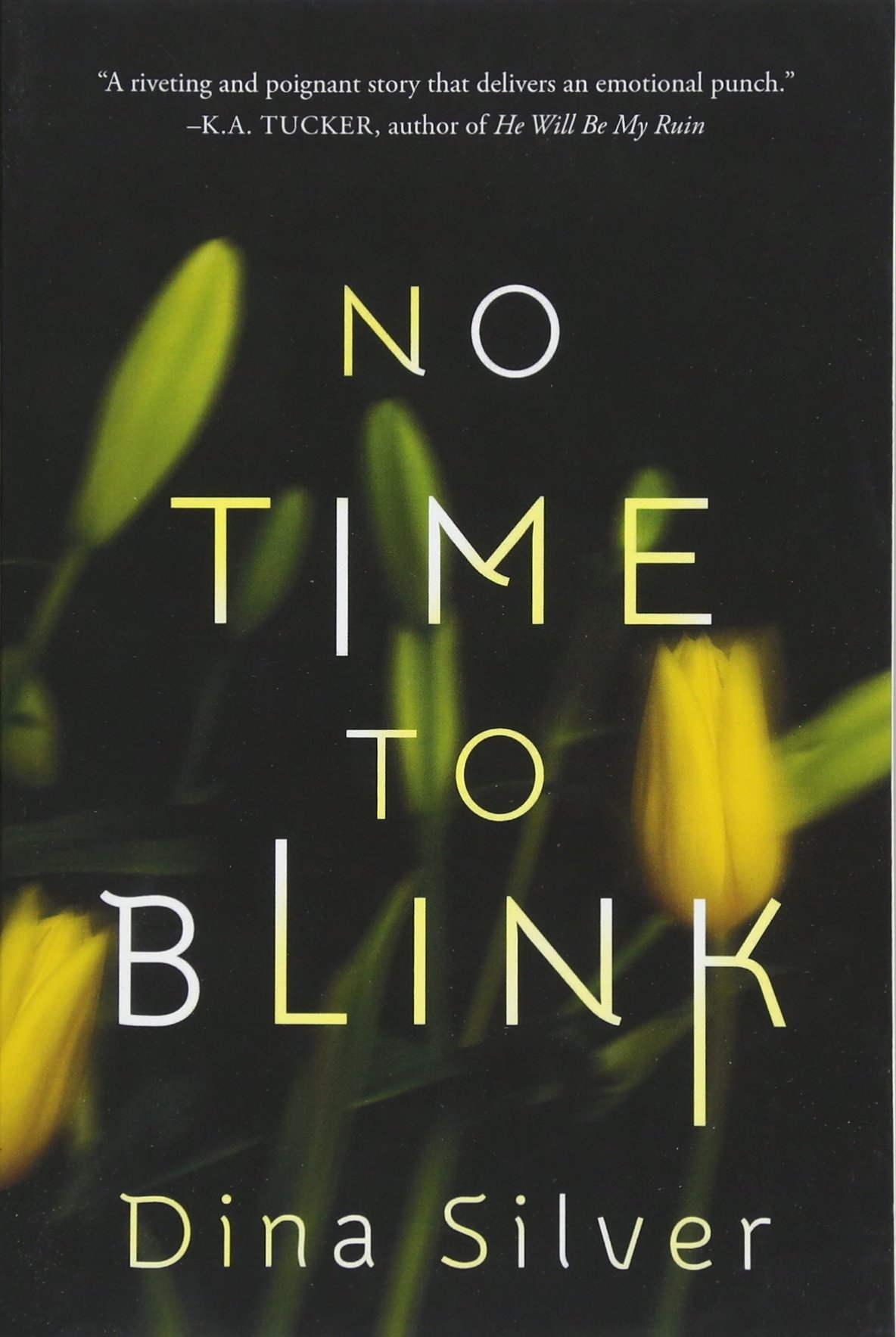 Dina SilverNo Time To Blink