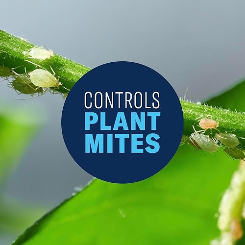 Miniatura 4 de BioAdvanced Aerosol todo en uno para plantas de rosas y flores, concentrado, 32 FOZ