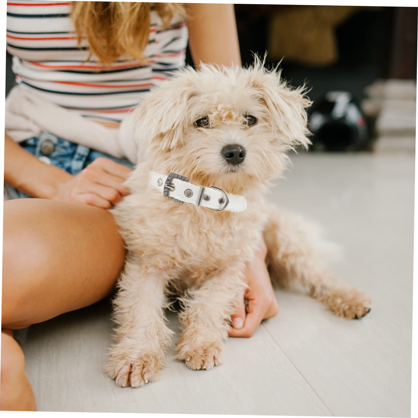 Collare e Guinzaglio per Cane Perle, 2 Pezzi, Pu Bianco