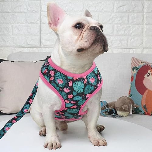 Miniatura 5 de Beirui Juego de arnés y correa para perro con bonito diseño floral, arnés de malla suave ajustable para perro con correa de 5 pies para cachorros