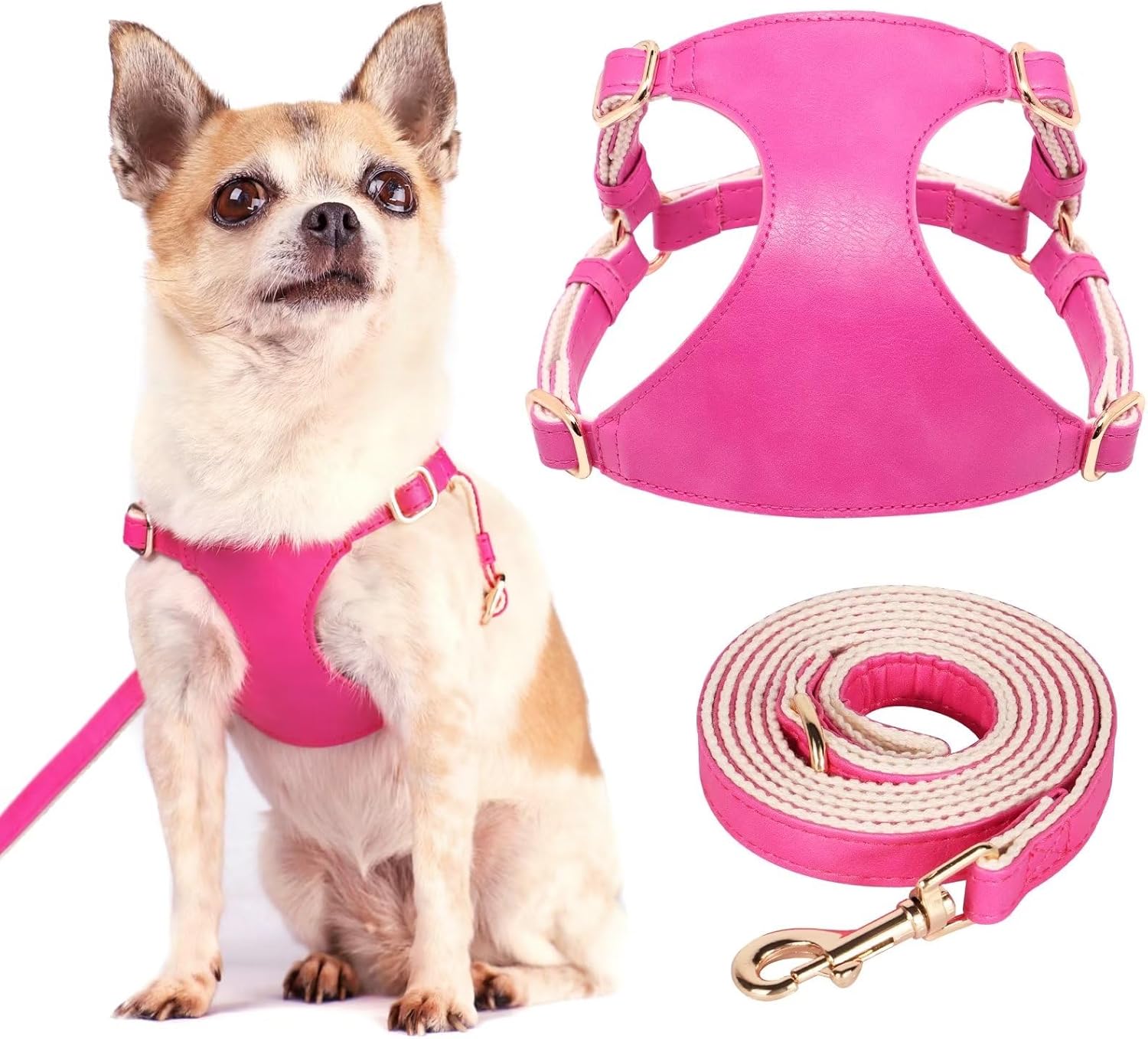 Didog No Pull Dog Harness for Small Dogs, Soft