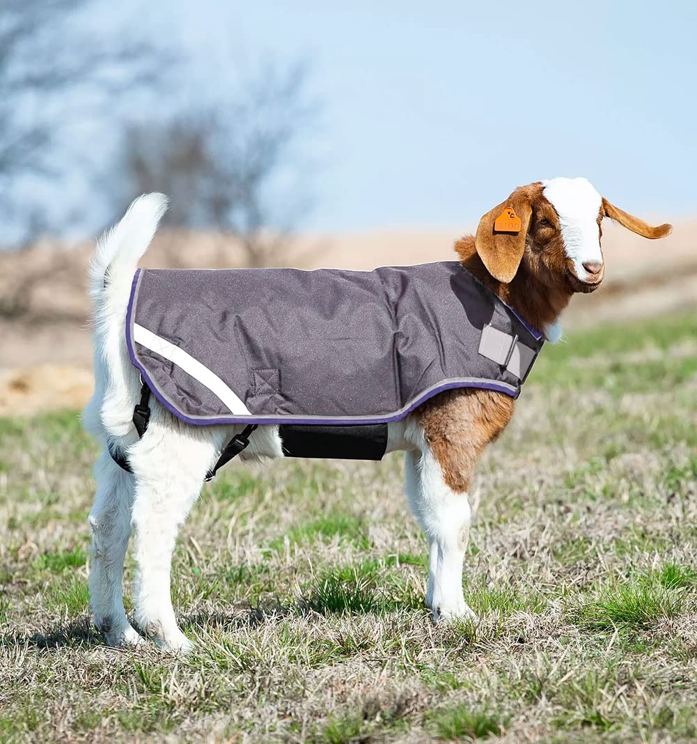 Manteau Isolant Horseware 100g Pour Chèvre Taille 16 Petit - Neuf Avec étiquette, Gris