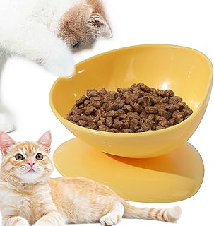 傾斜猫用食器 | 200ml 転倒防止給水ボウル,15度 傾斜 猫用 給餌ボウル,子猫 子犬 小型犬用 屋内 屋外 旅行用給餌ボウル