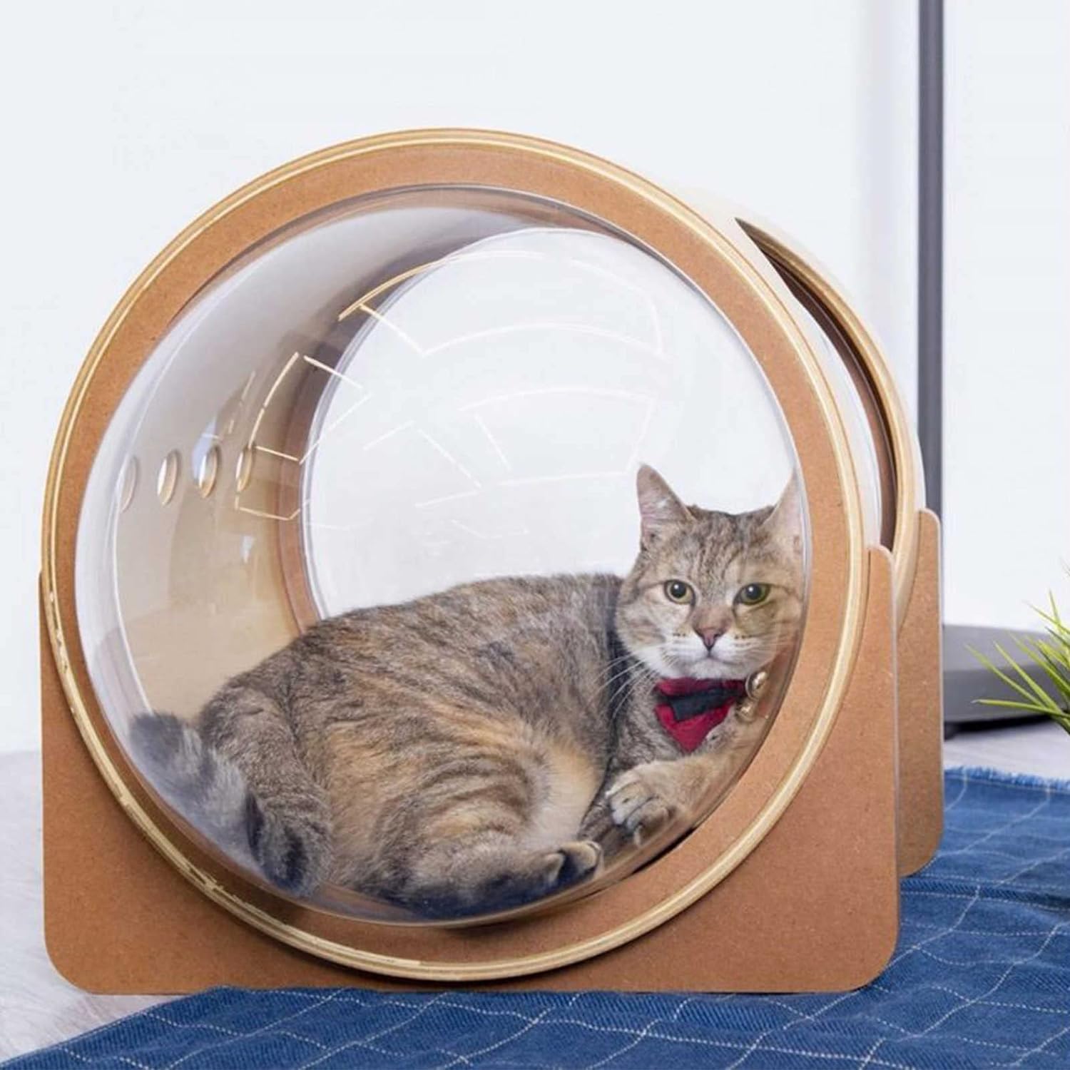 myzoo 宇宙船　ドーム型キャットハウス ブラウン Amazon | 宇宙船 猫ハウス ペットベッド ドーム 床置き 猫ハウス