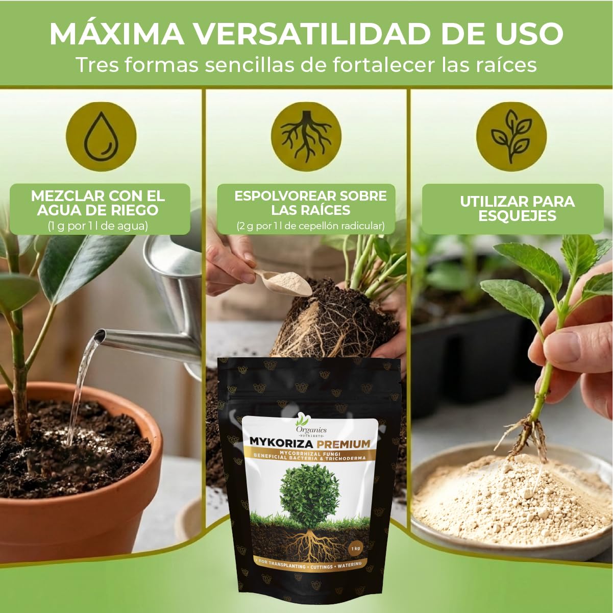 Mykoriza – Polvo Orgánico de Micorrizas con Hongos Endomicorrícicos y Ectomicorrícicos para el Crecimiento de Raíces, Absorción de Nutrientes y Cultivos (1KG)