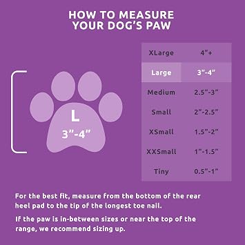 Large Pawz Durable All Weather Dog Boots (12 boots)