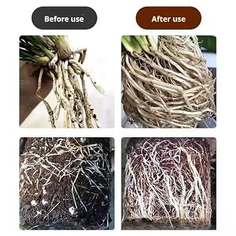 50ml Fast-Acting Root Stimulator All Garden Cuttings Liquid Formula Rooting Hormone Plant-Based Root Growth Enhancer Plant Rooting Promoter Clone Booster Root Accelerator