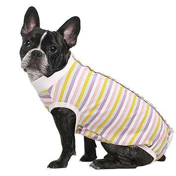 ASENKU Dog Recovery Suit for Abdominal Wounds, Female Male Dog Surgery Recovery Suit, Pet Bodysuit E-Collar Alternative After Surgery Wear Anti Licking Wounds (XXL, Candy-Colored)