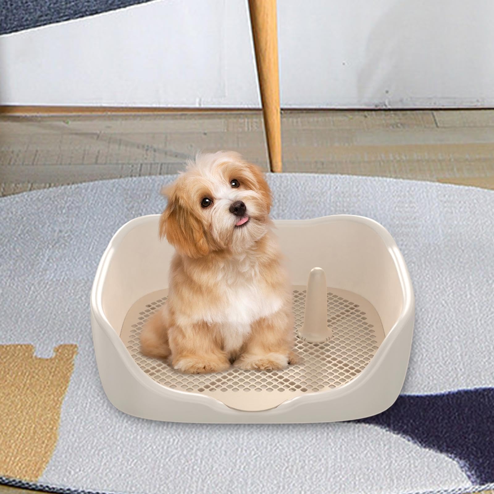 Pet Dog Toilet,Dog Litter Box, Keep Paws and Floors Clean, Puppy Training Potty Tray, Mesh Grids Toilet, White Medium
