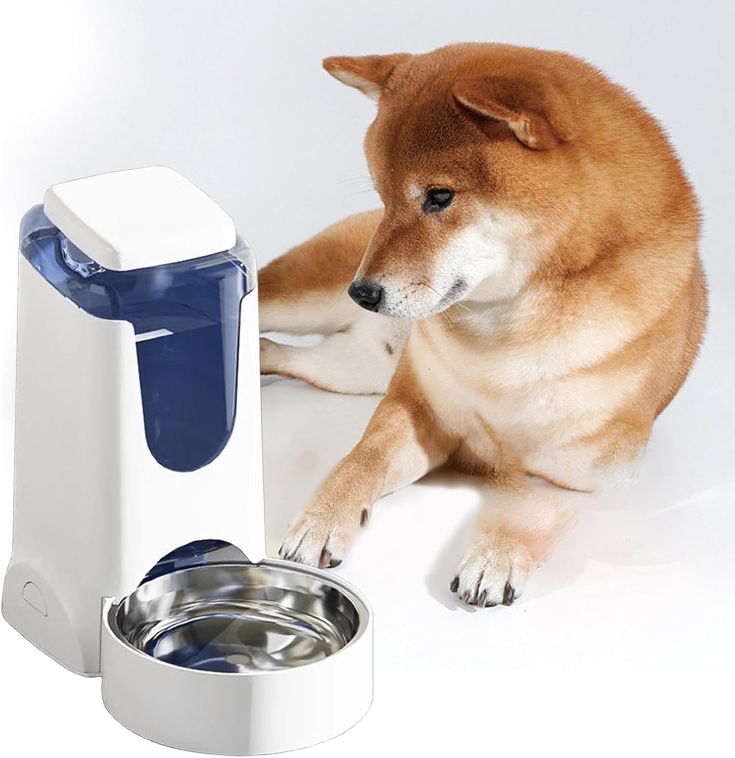 Automatic Pet Water Dispenser, Drinking Feeder Detachable 4L Pet Water Water Drinker for Small Animals, Chinchillas, Bunny, Kitten, White