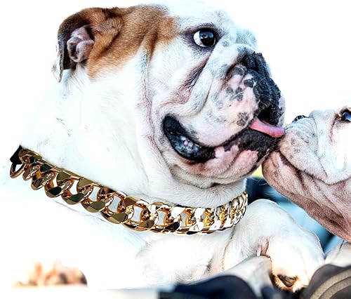 Collar de perro de cadena dorada  Collar de perro de eslabones cubanos de metal de 78 pulgadas de ancho con cinturón de cuero, ligero protege el