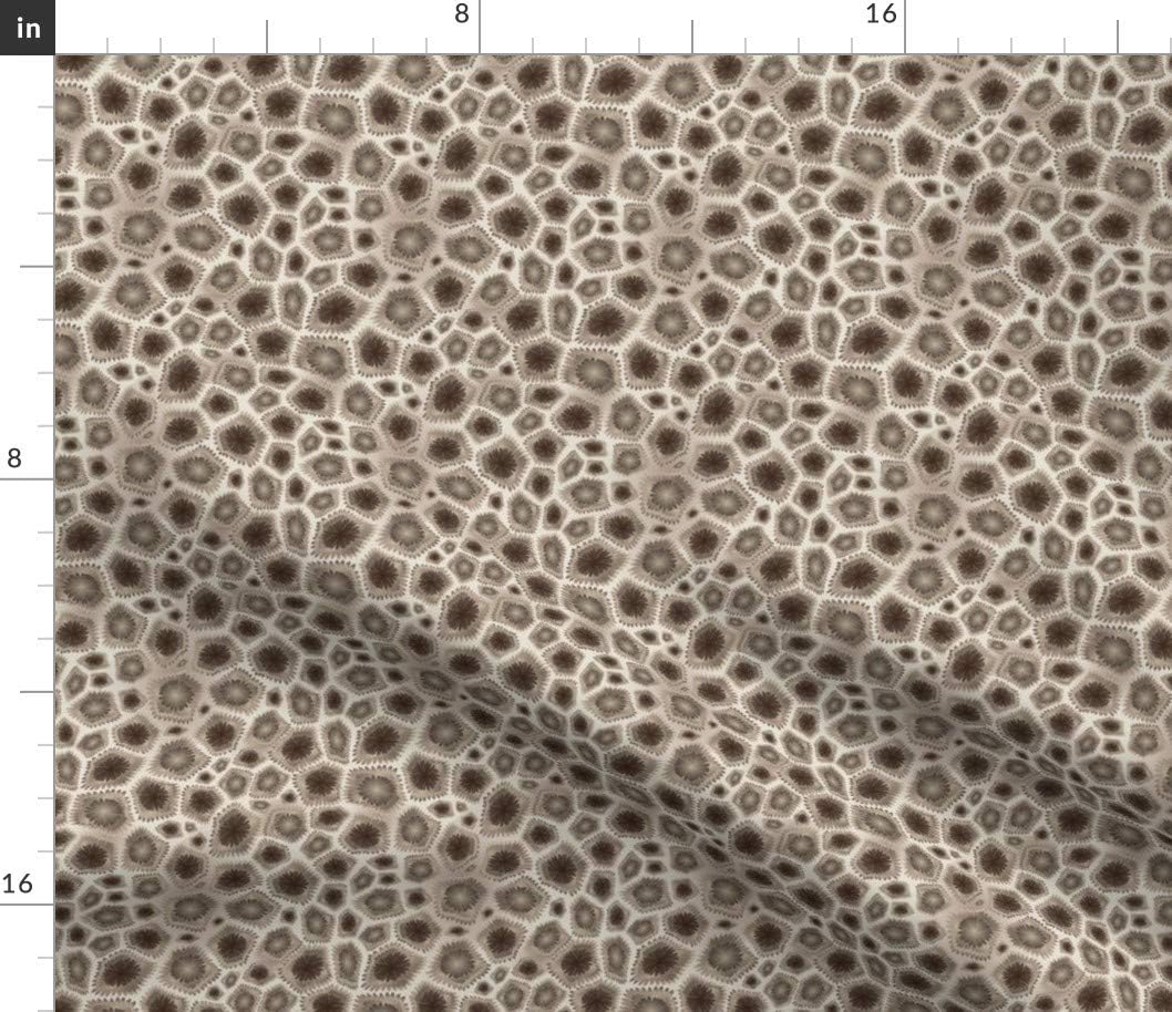 Spoonflower Fabric - Petoskey Stone Nature Abstract Geometric Earth Tones Printed on Petal Signature Cotton Fabric Fat Quarter - Sewing Quilting Apparel Crafts Decor
