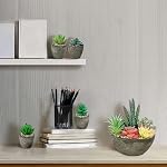 Succulents Plantes Ensemble artificiel de 5, Des faux succulents réalistes avec des ciments comme des pots pour la décoration de bureau d'intérieur.
