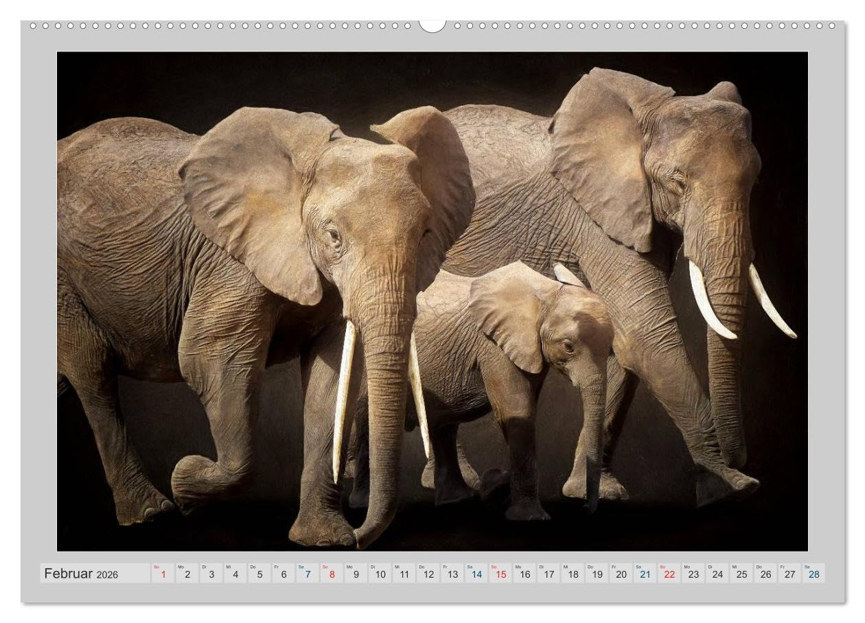 Elefanten - Portraits der besonderen Art (Wandkalender 2026 DIN A2 quer), CALVENDO Monatskalender: Wunderbare Portraits der grauen Riesen - digital gemalt. (CALVENDO Tiere)