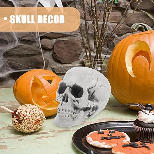 Miniatura 6 de DECHOUS 8 cabezas de calavera de Halloween de plástico cráneos de esqueleto realistas de Halloween a granel, cabezas de esqueleto de 5 pulgadas,
