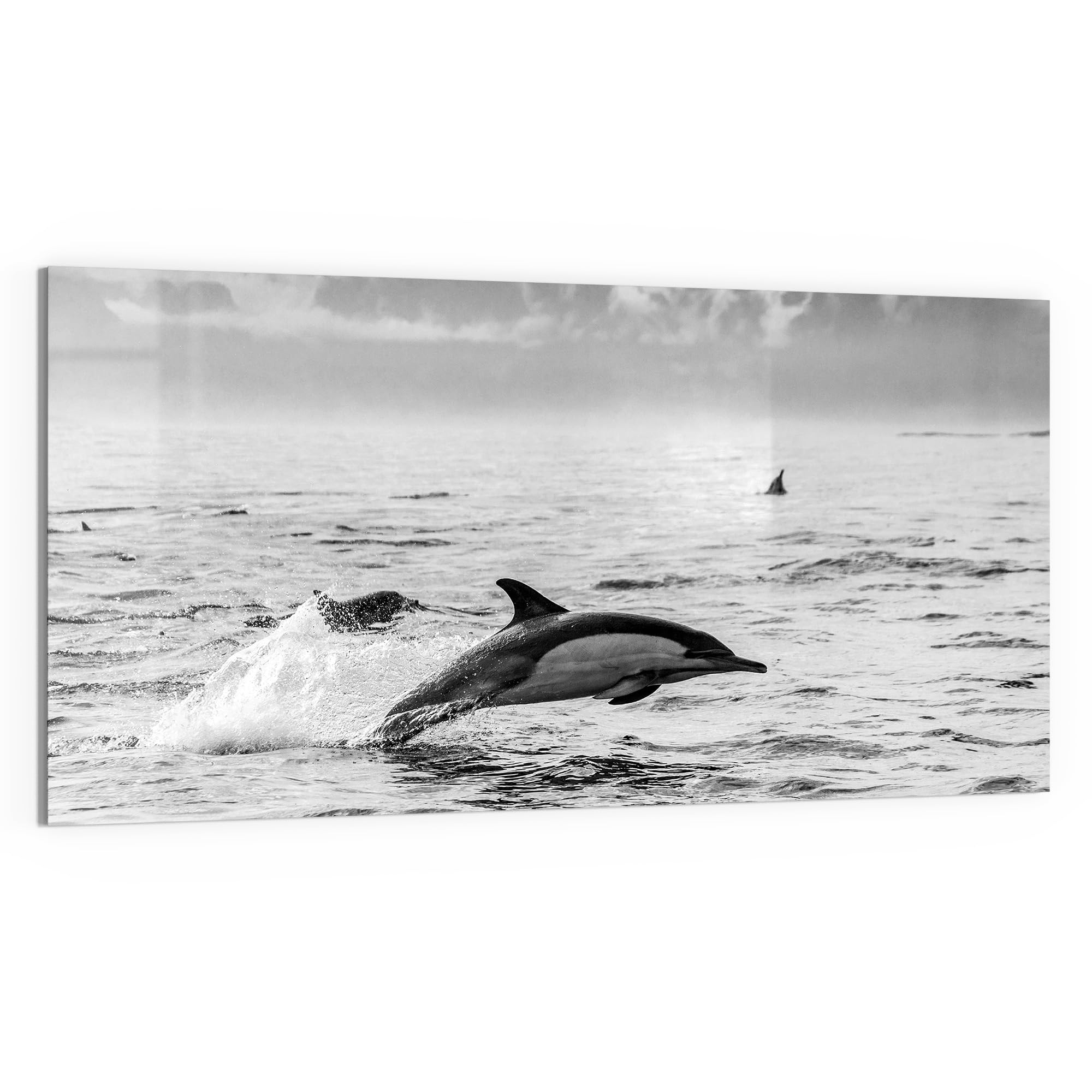DEQORI Cuadro de cristal auténtico, diseño de saltos libres, horizontal, 100 x 50 cm, bonita decoración, mural para salón, dormitorio, pasillo y cocina