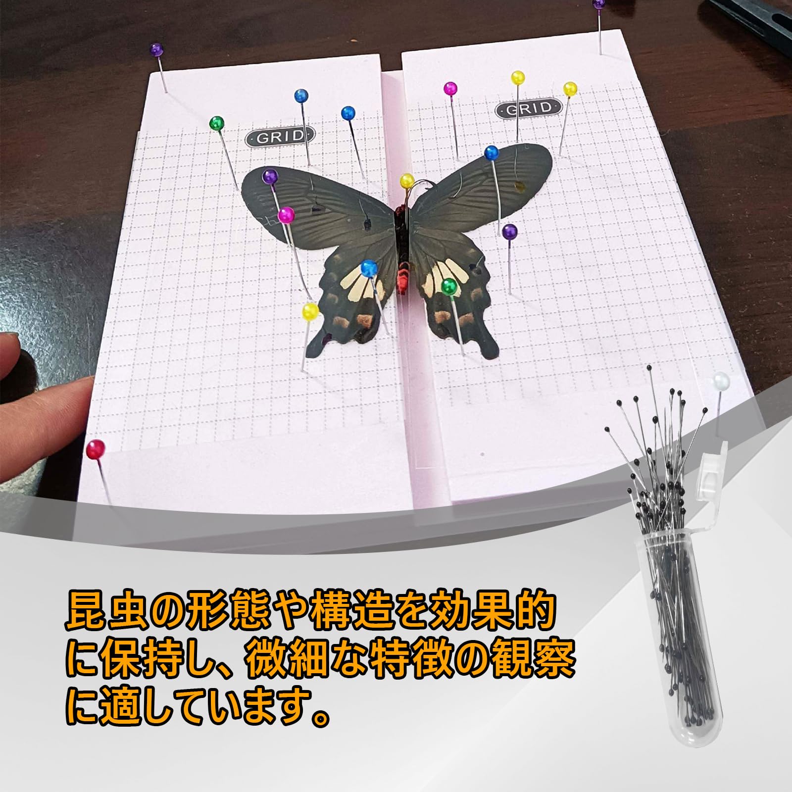 Amazon | Solxion 虫ピン 虫ピン 壁 標本用品 極細 昆虫標本針 メタル
