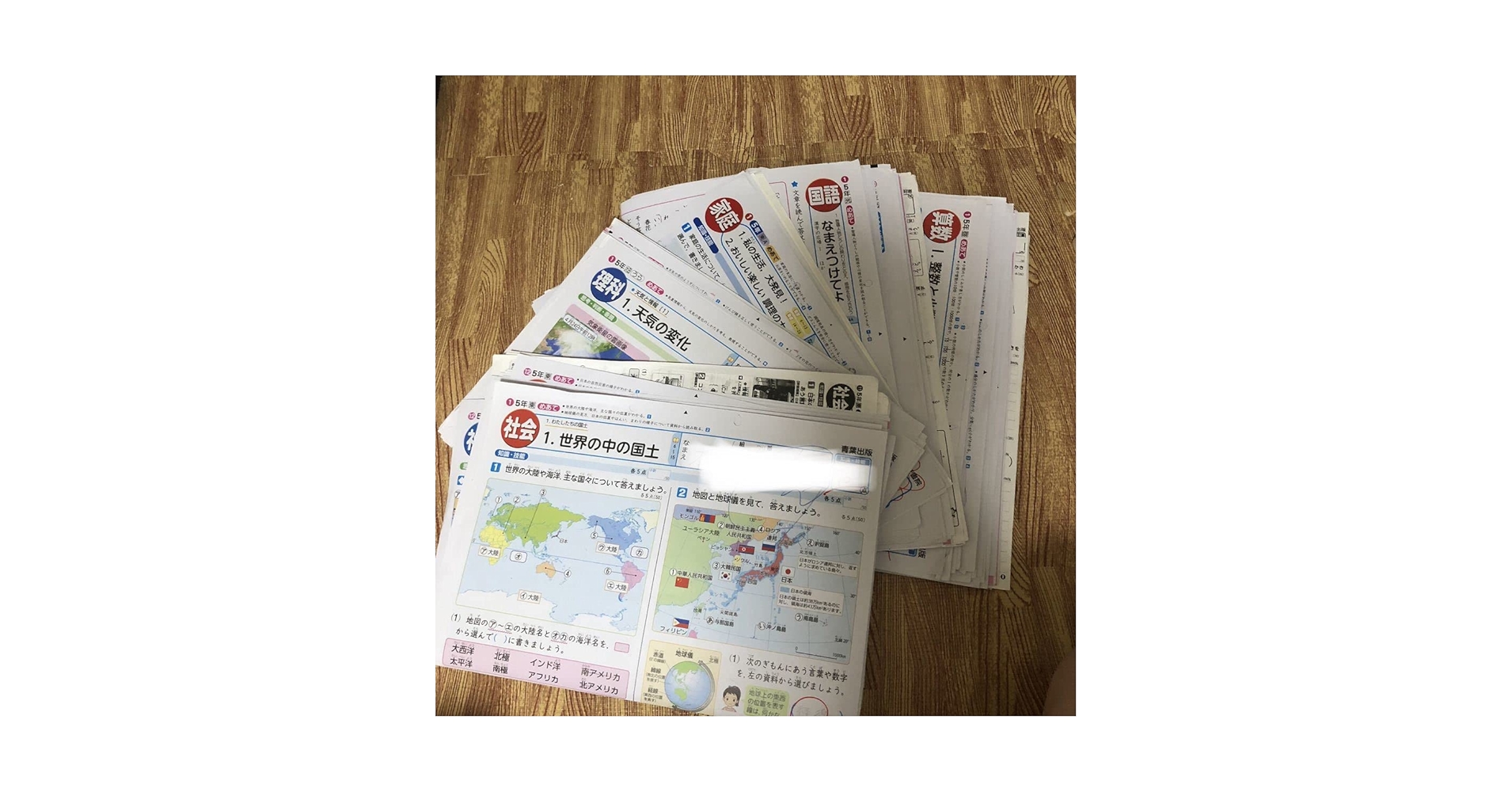 カラーテスト　小５　国語　算数　理科　予習　復習　小学生　見なおしシート　５年生 小2 5分間復習プリント 全科：5分間復習プリント - 小学生の方