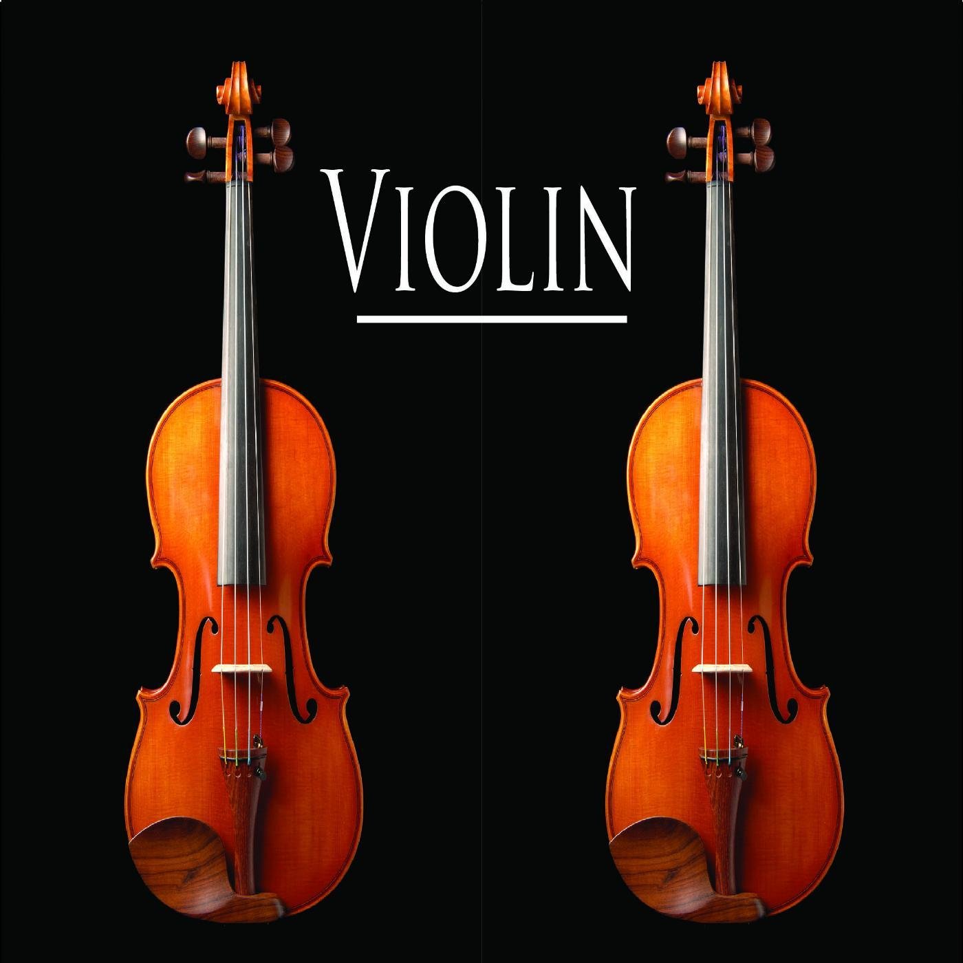Violin