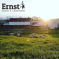 Vista 28 de Ernst Grain & Livestock Maíz entero: alimento perfecto para ciervos, ardillas, pollos, patos, conejos, gansos y más. (46 libras)