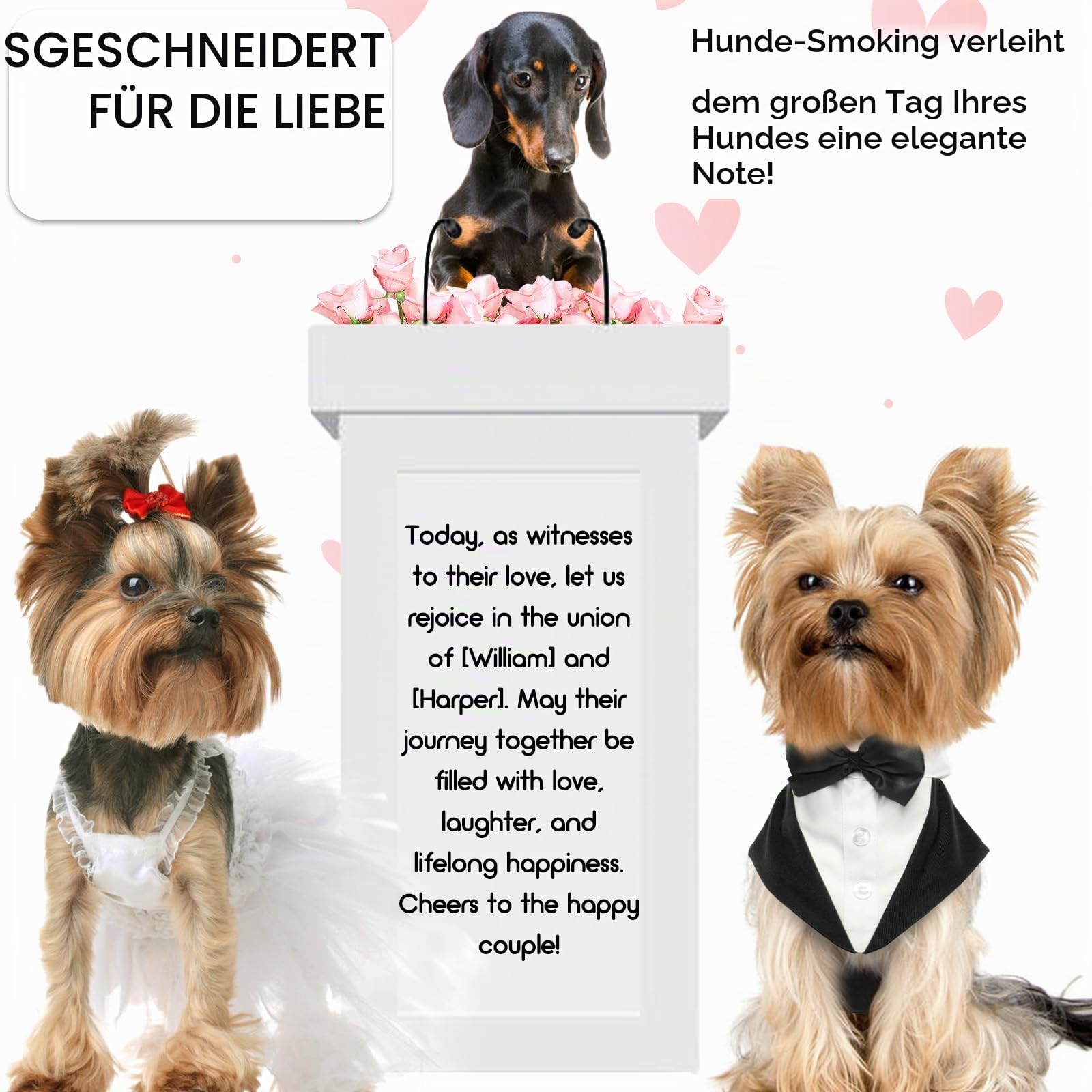 Hund Smoking Anzug & Bandana Set, Hund Hochzeit Anzug, Hundekostüm für Kleine, Mittlere und Große Hunde, Hundekleidung für Hochzeit, Geburtstage, Partys Weihnachten und Halloween-Schwarz XXL