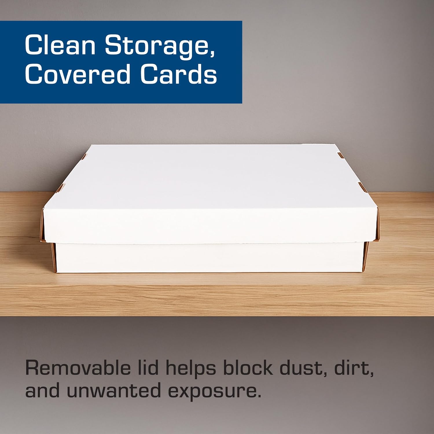 BCW Super Monster 5-Row Trading Card Storage Box, 2 Pack | Holds 5000 Standard Cards or 7000 Gaming Cards | Card Storage for Baseball, Basketball & Football