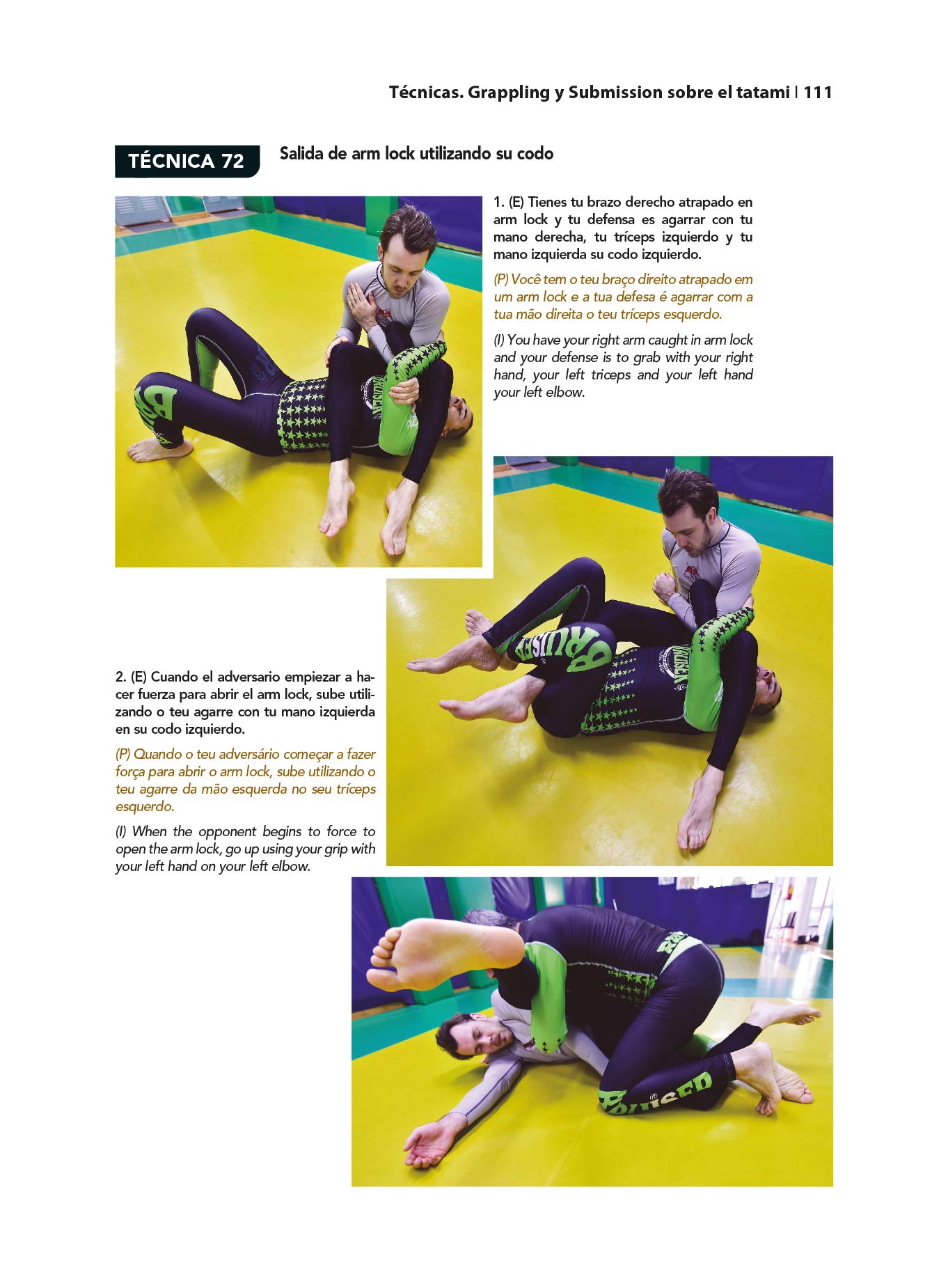 Grappling y Submission (curso básico) (ARTES MARCIALES)