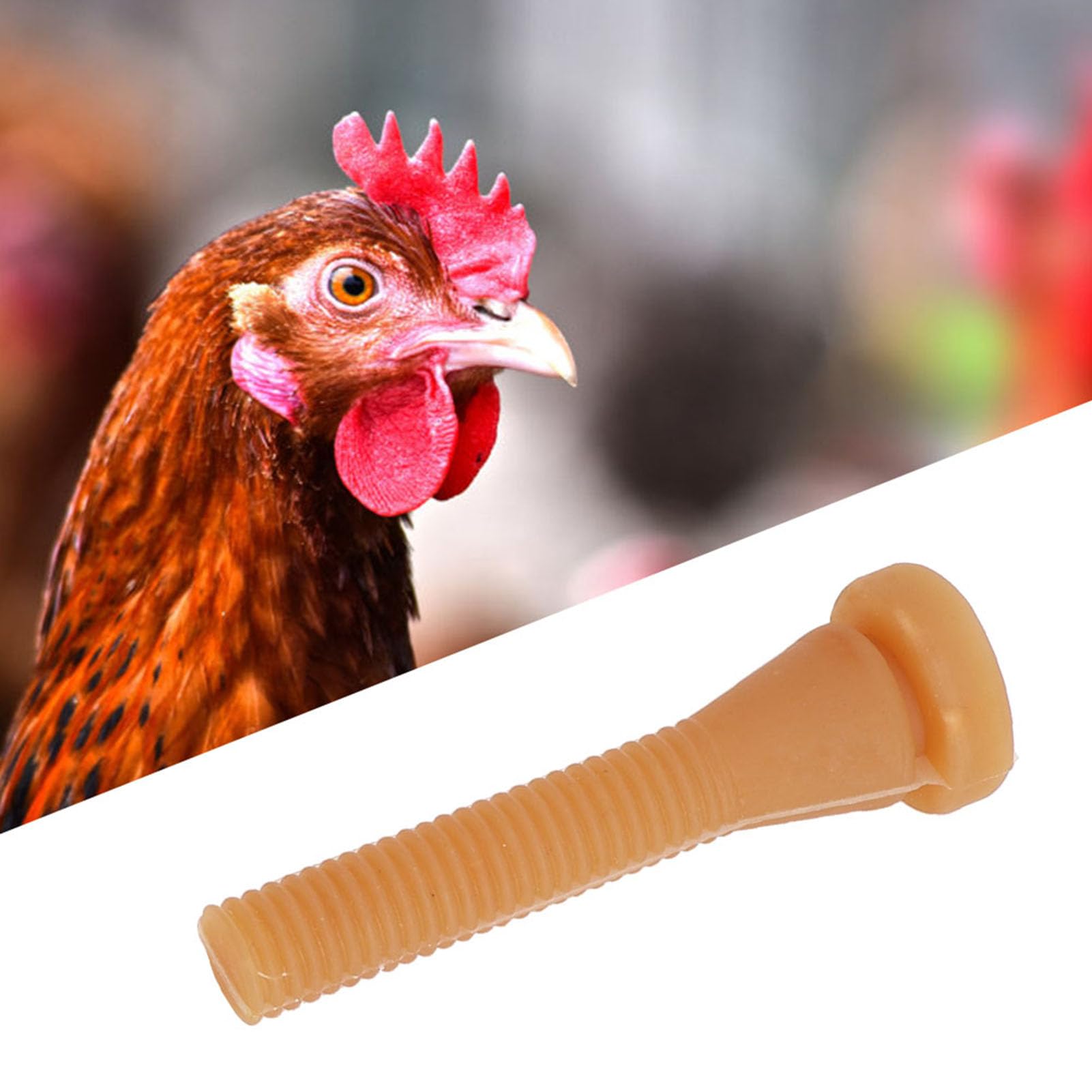 Plume de Poulet, Plume de Poulet, 96 Doigts de Cueillette de Plumes pour Plume de Dinde de Canard