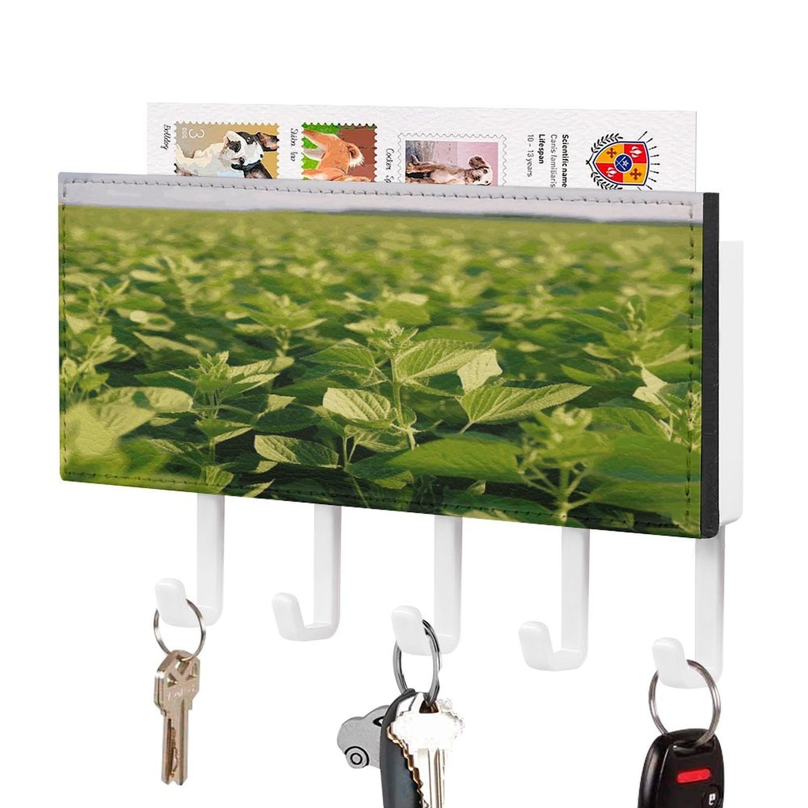 LDGSUPH Soybean Field Key Holder Wall Mount Key Hanger with 5 Hooks Fashion Key Organizer Rack Hanging Key Hooks with Mail Organizer Key Rack for Home Entryway Hallway White-Style