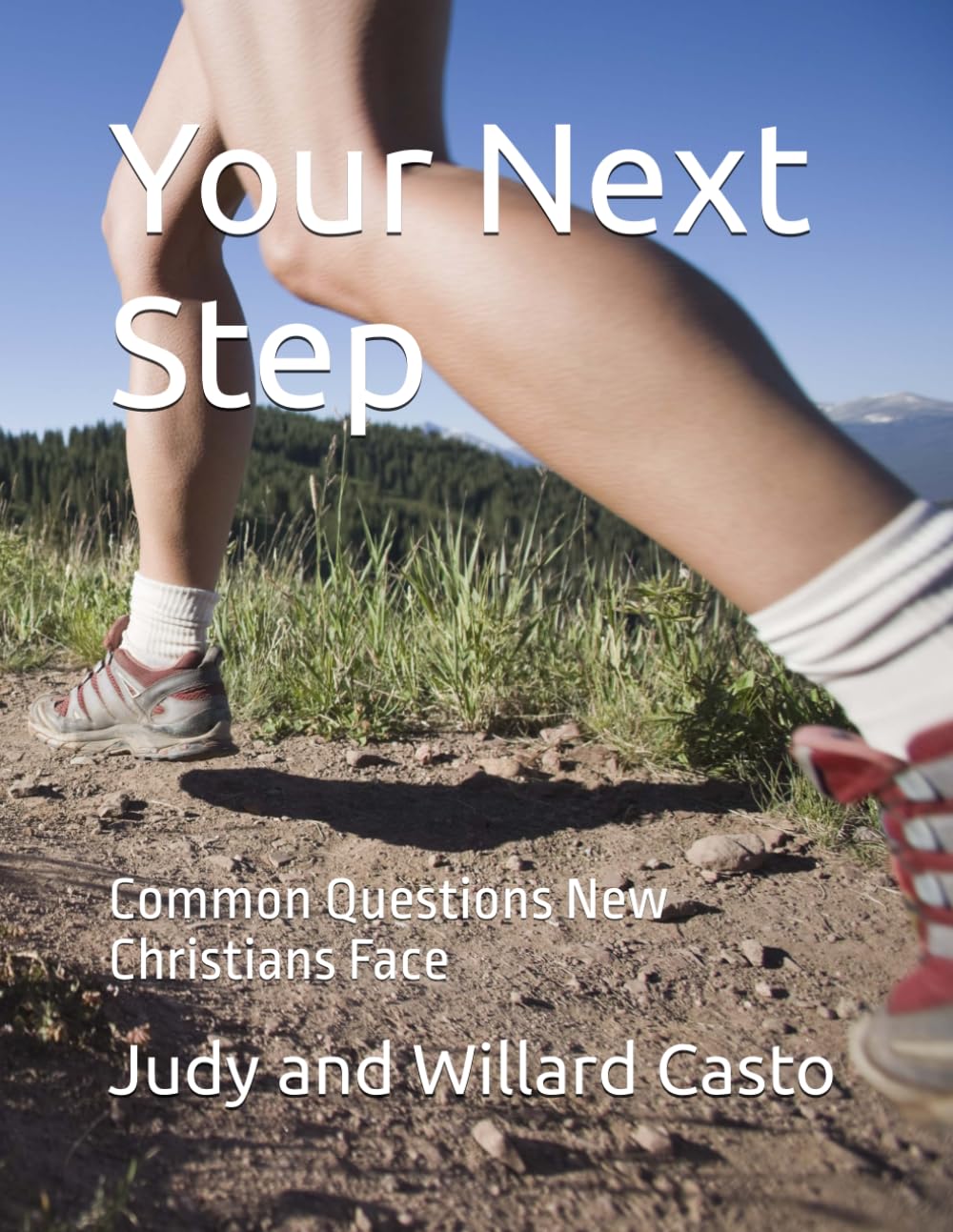 Your Next Step: Common Questions New Christians Face (New Christian Discipleship)