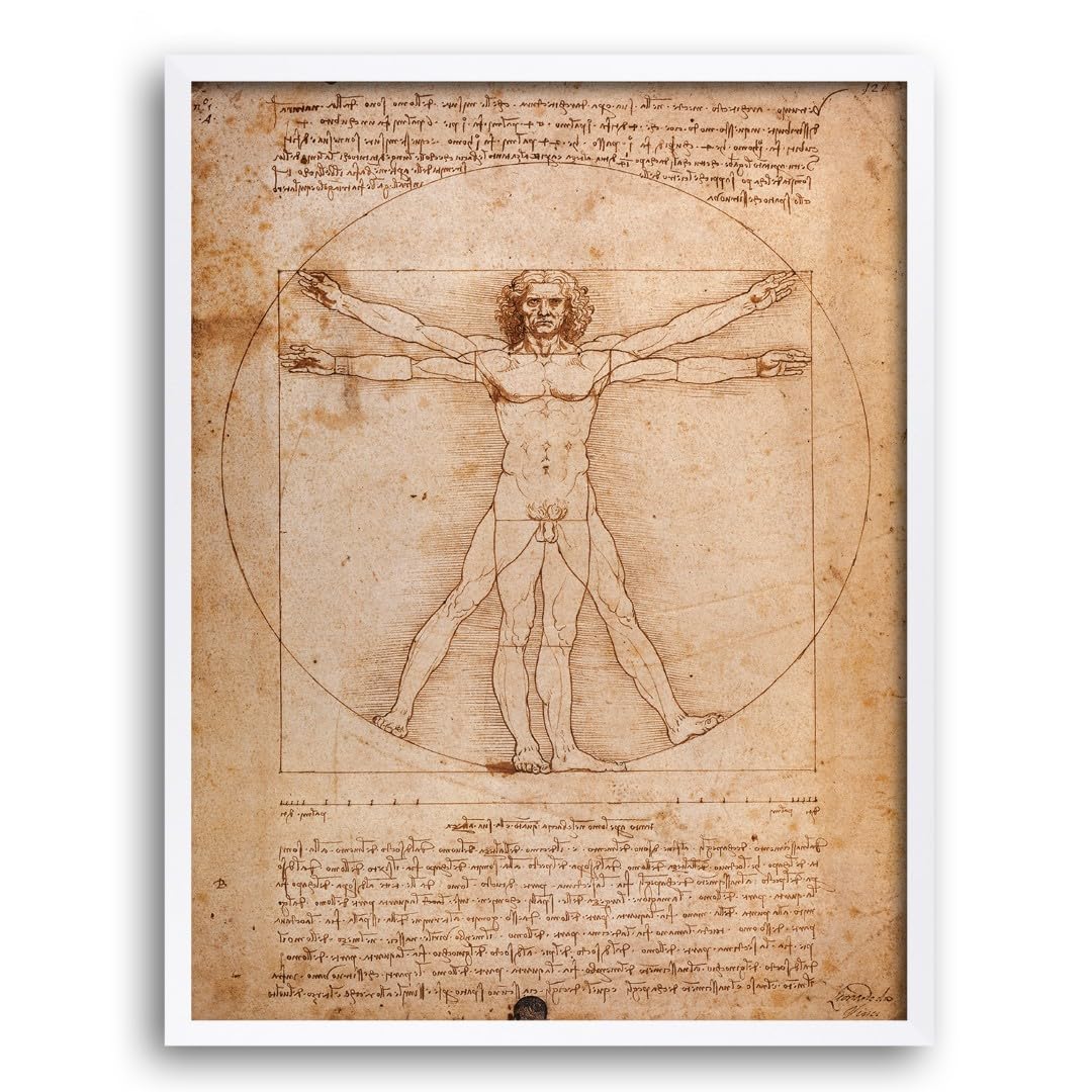 Tableau Il Corpo Umano Da Vinci 50x70 cm avec cadre blanc