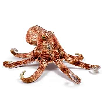 さかなクン プロデュース ぬいぐるみ タコ ピラルク ワニ 特大 さかなクンプロデュースのぬいぐるみ販売 太洋産業貿易 | 話題