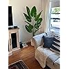 Product Photo 8