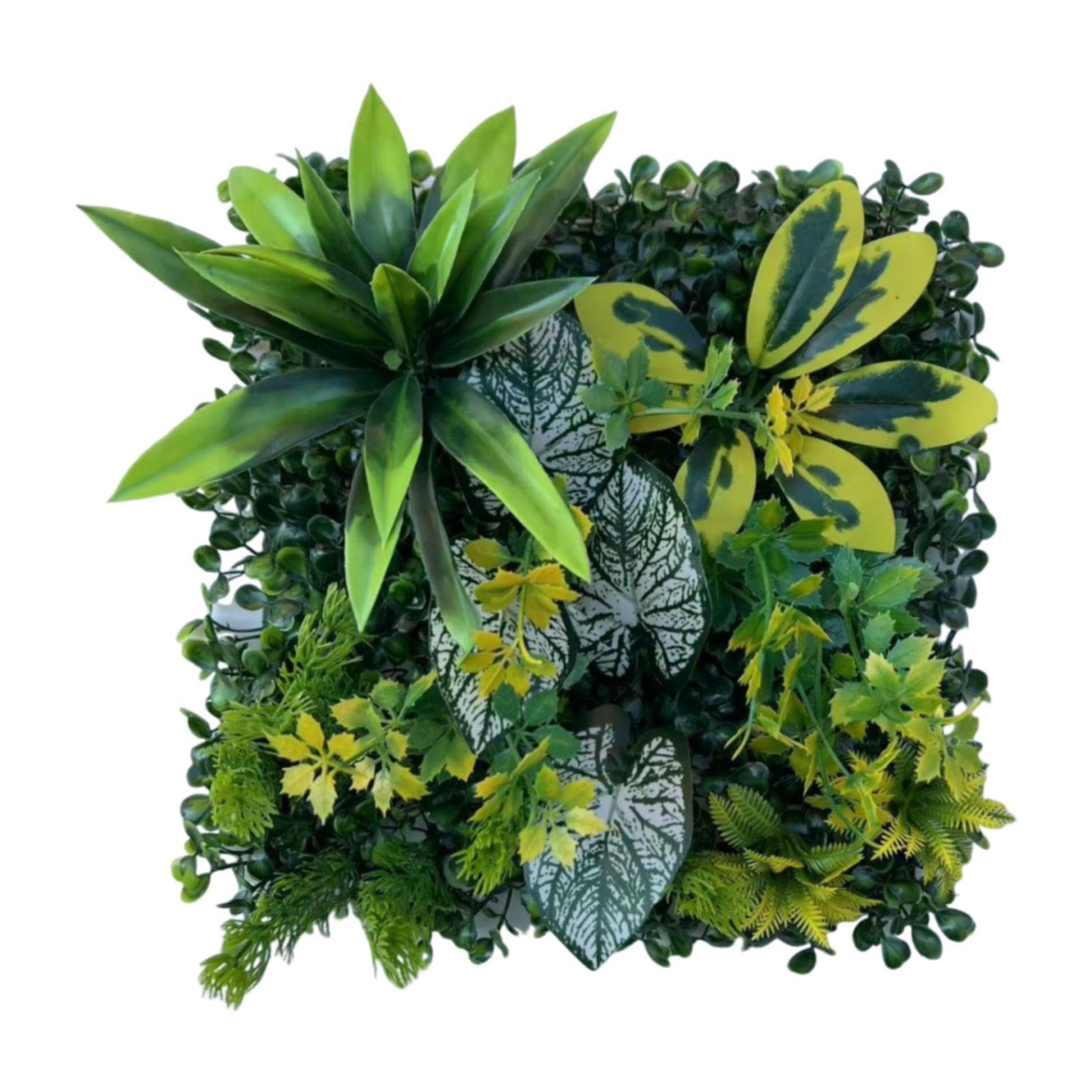 ZOOMELLA GrWall Panel Privacy Hedge Screen for Patios Backyard Wedding Background|Floral Déco|Home & Garden