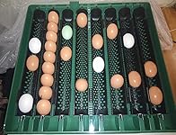 Review Image by FearNoT