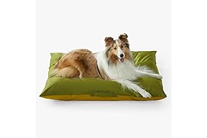 Allisandro | Scratch and Water-Resistant Outdoor Dog Bed for Your Pet's Ultimate Comfort and Durability