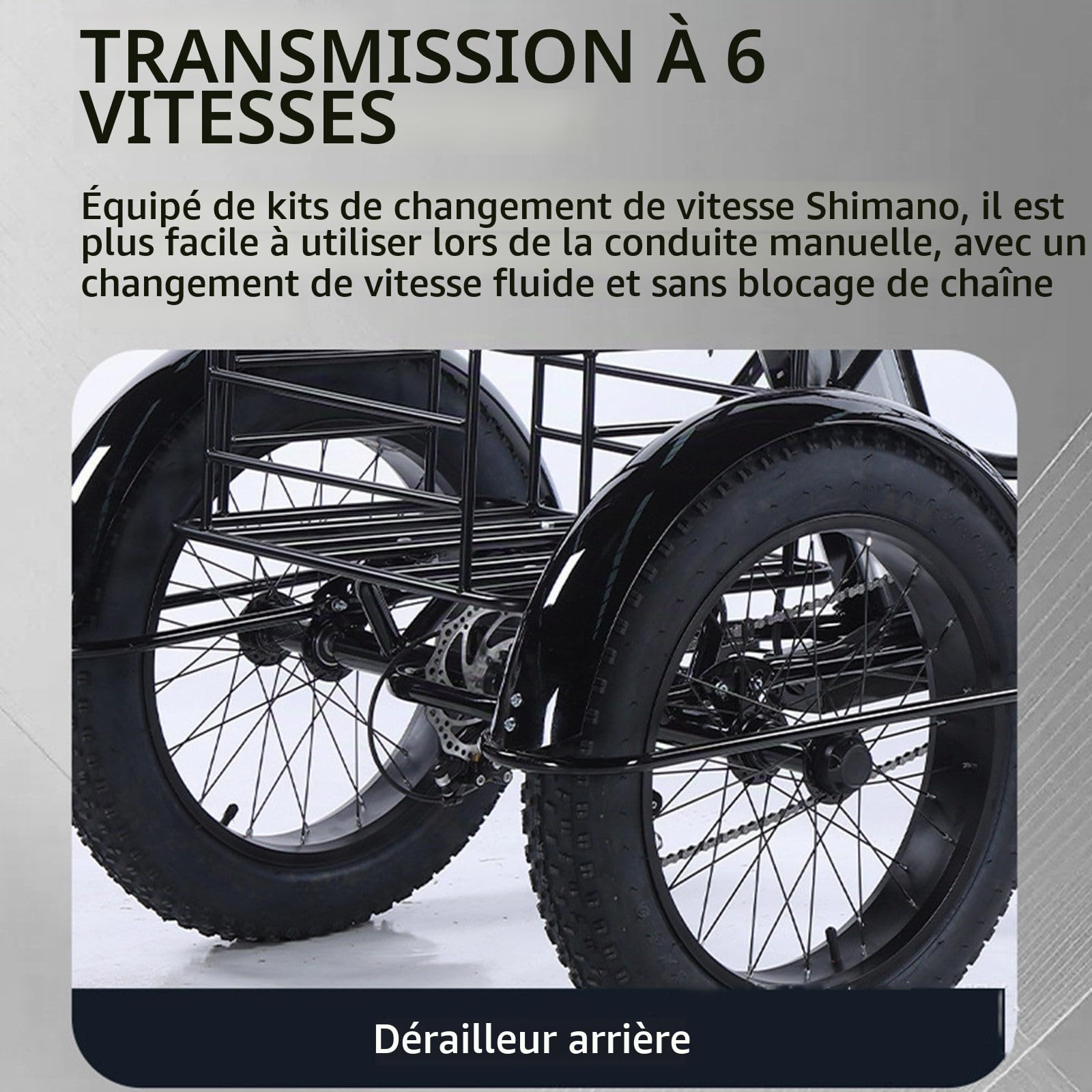 Tricycle électrique 20 Pouces pour Adultes, avec Batterie Amovible 48 V 13 Ah, Vélo électrique Motorisé avec Grands Paniers, écran LCD,Autonomie 40 Km, Tricycle Cargo électrique pour Seniors