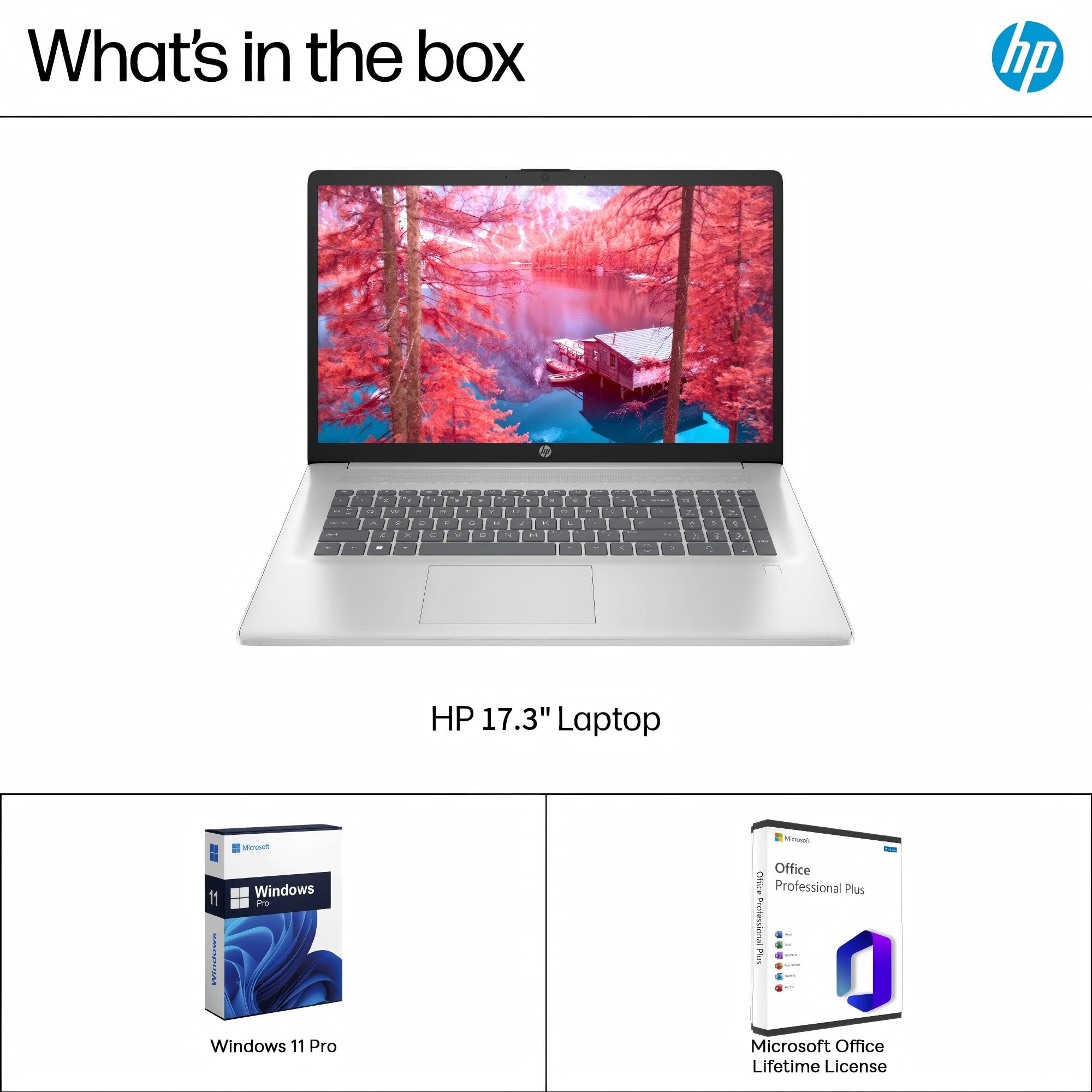 Amazon.com: HP 17 inch Laptop for Business, 17.3