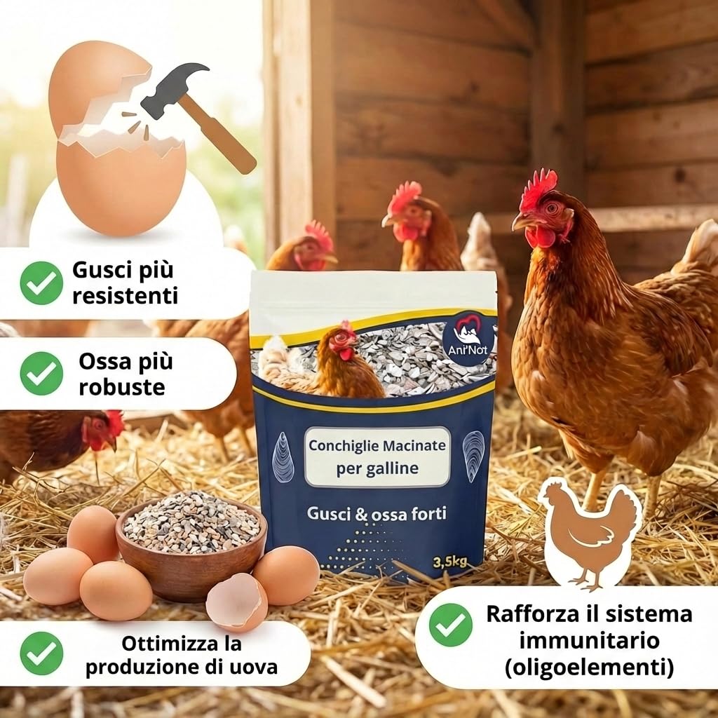 Ani'Nat NATURE ANIMALE Conchas molidas para gallinas ponedoras y Palomas. Más Variedad de minerales Que Las Conchas de ostras. Minerales y Calcio para Conchas sólidas. (7kg)
