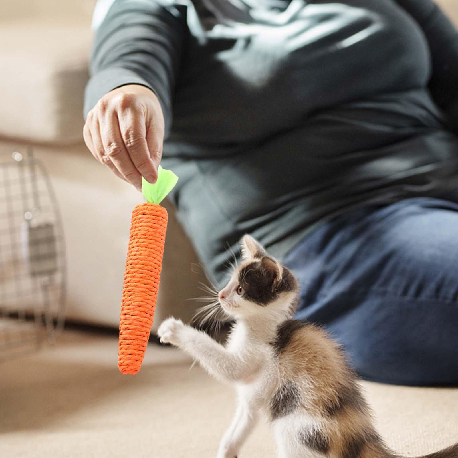 Trixie Giocattolo Per Cani A Forma Di Carota - 20 Cm, Morbido E Robustto, Con Cinturino - Foto 4