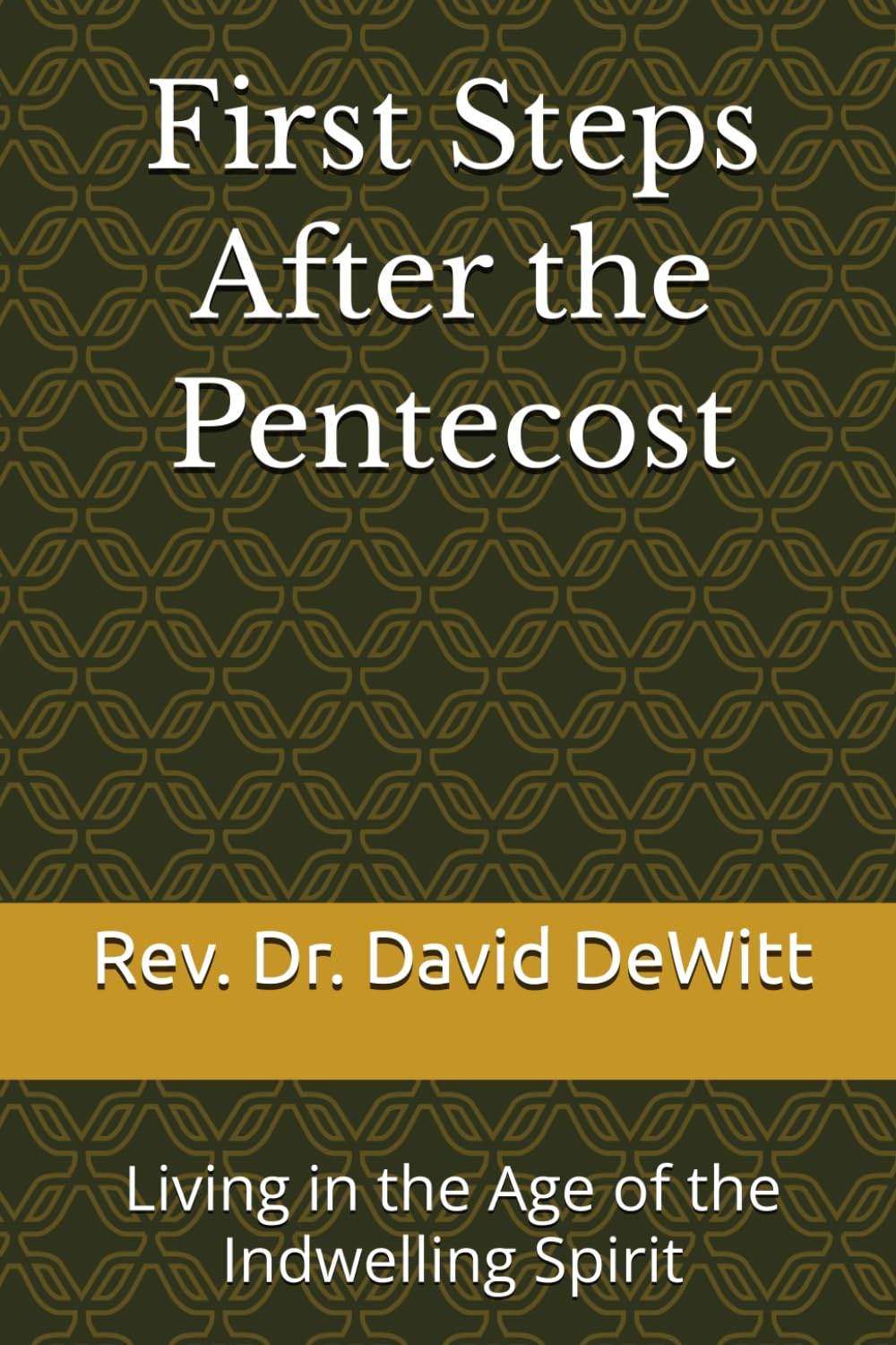 First Steps After the Pentecost: Living in the Age of the Indwelling Spirit