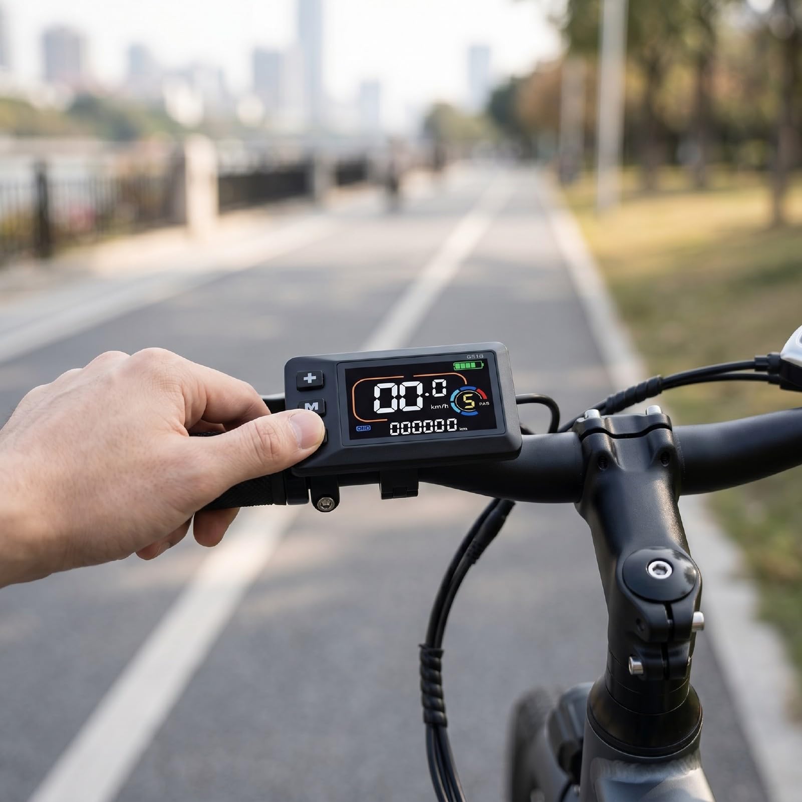 Asixxsix Reemplazo de Pantalla LCD de Bicicleta Eléctrica